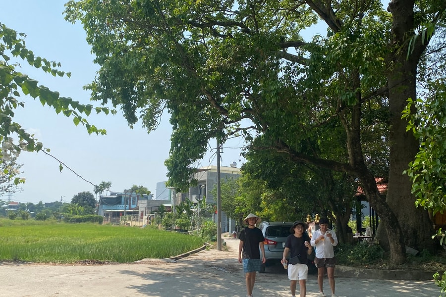 Chờ hồi sinh làng cổ Phong Nam