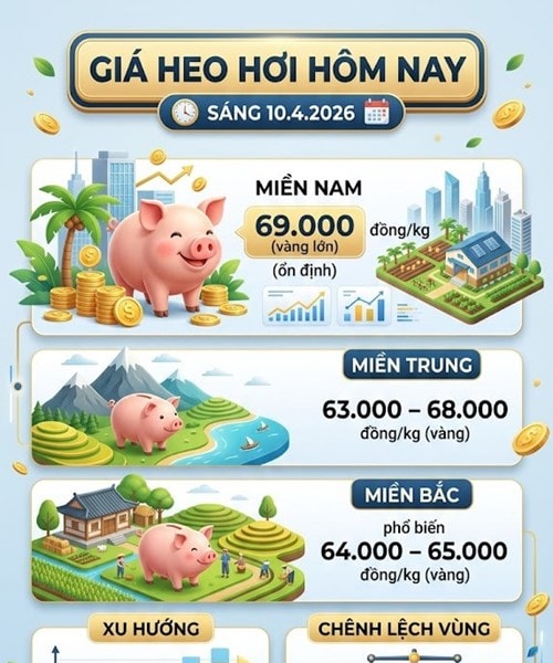 Giá heo hơi ngày 10/4: Miền Nam giữ mức 69.000 đồng/kg, thị trường đi ngang