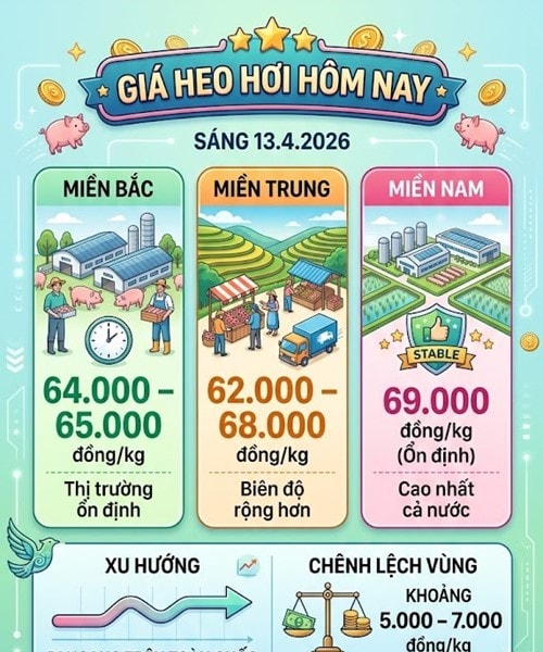 Giá heo hơi hôm nay 13/4: Miền Nam giữ mốc 69.000 đồng/kg, toàn quốc đi ngang