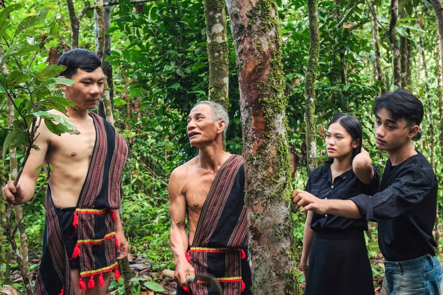 Lan tỏa giá trị cây quế từ lễ hội vùng cao Trà My