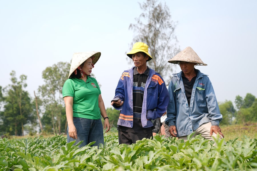 Hiệu quả mô hình chi, tổ hội nghề nghiệp ở phường Bàn Thạch