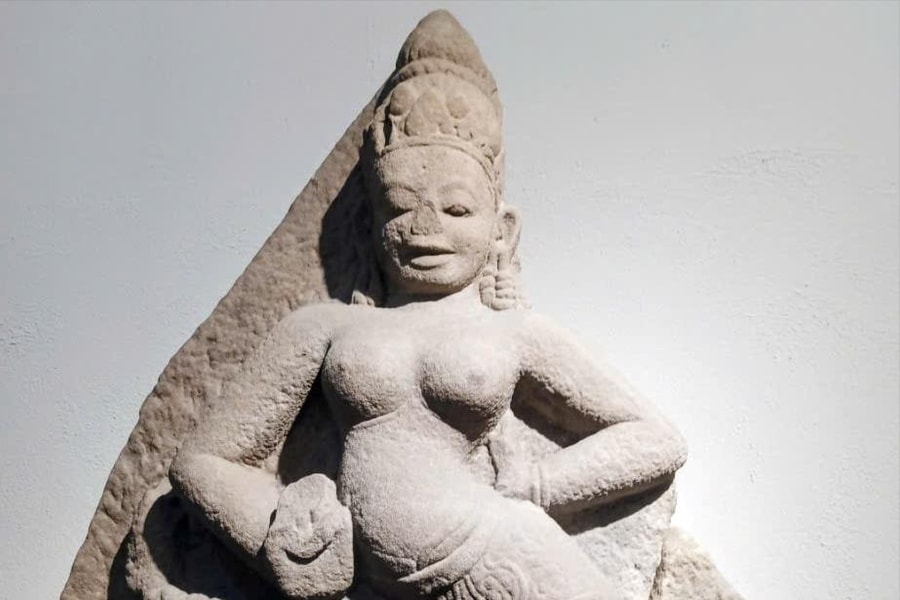 Dưới bóng cây Champa trong cổ viện Chăm