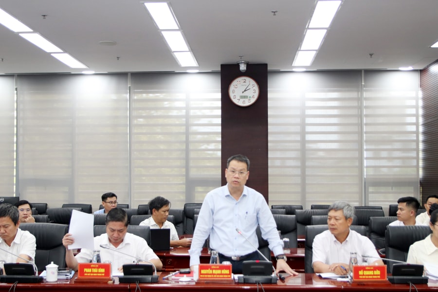 Chủ tịch UBND thành phố Nguyễn Mạnh Hùng làm việc với lãnh đạo Công ty CP Tập đoàn Trường Hải