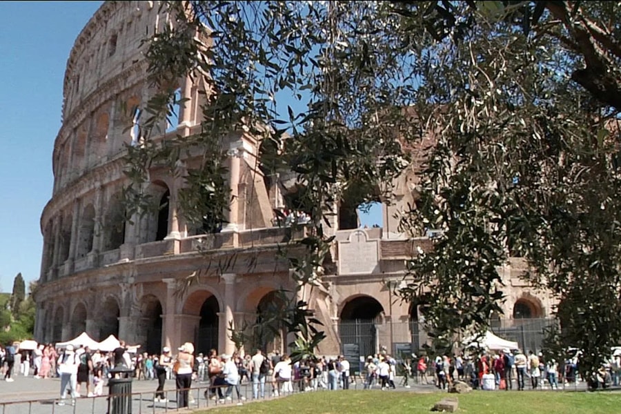 Du lịch mùa ô liu tại Rome