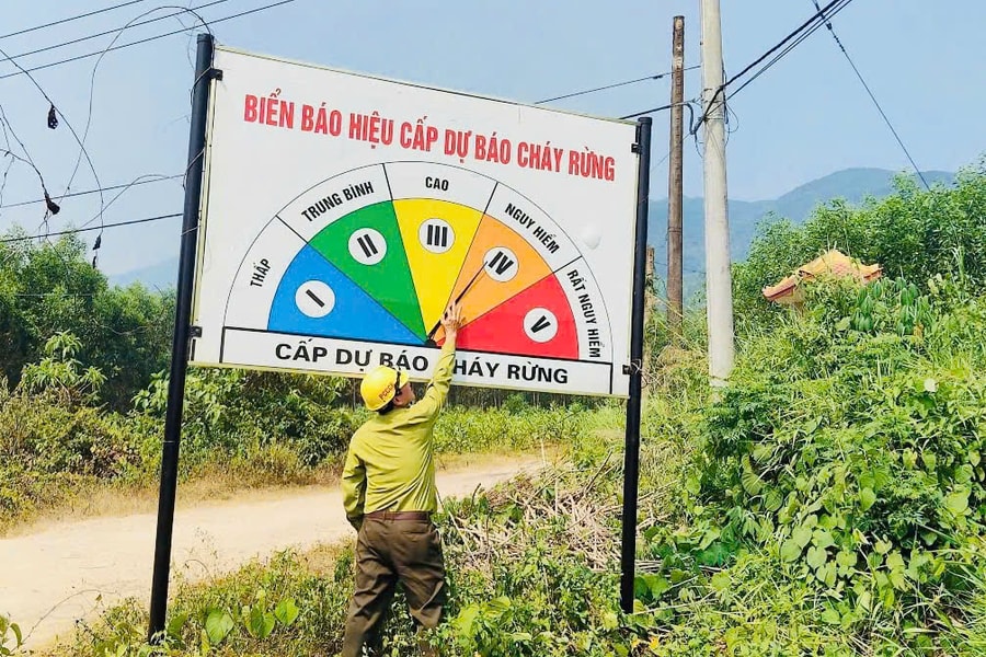 Chủ động phòng chống cháy rừng