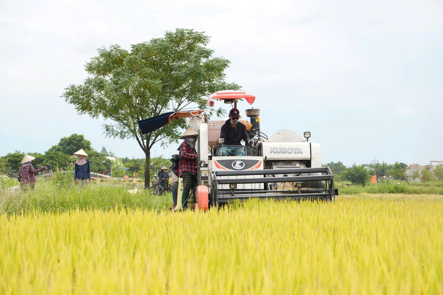 “Tam nông”, thao thức và kỳ vọng