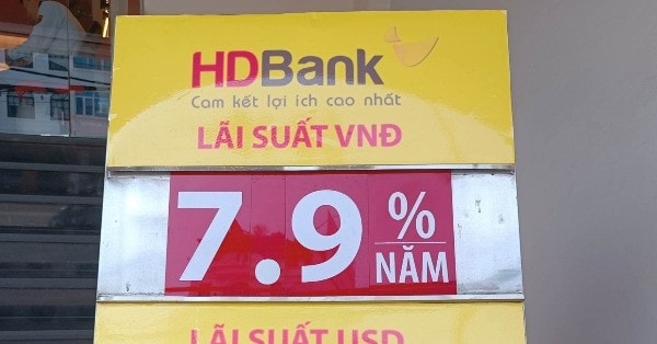 Lãi suất HDBank giảm đồng loạt 0,5 điểm phần trăm, cao nhất còn 7,6%/năm