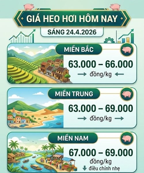 Giá heo hơi hôm nay 24/4: Miền Nam biến động nhẹ, mức cao nhất 69.000 đồng/kg