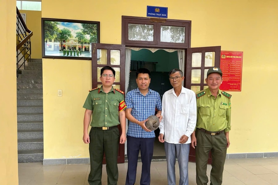Người dân Phú Thuận tự nguyện giao nộp tê tê quý hiếm