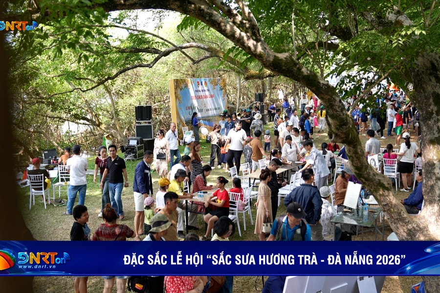 Đặc sắc không gian lễ hội “Sắc Sưa Hương Trà - Đà Nẵng 2026”
