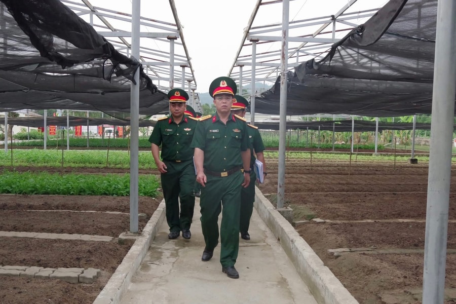 Xây dựng Trung đoàn 971 vững mạnh toàn diện