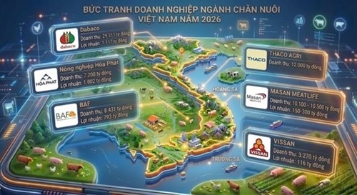 Doanh nghiệp nội dẫn dắt ngành chăn nuôi Việt Nam: Cuộc đua hàng chục nghìn tỷ năm 2026