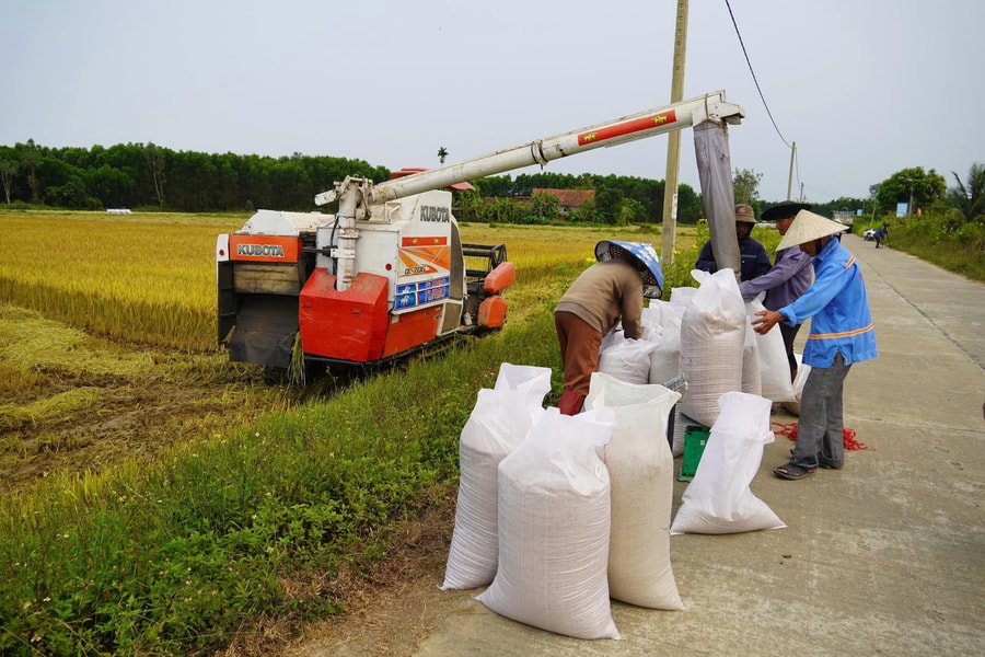 Thúc đẩy phát triển nông nghiệp bền vững