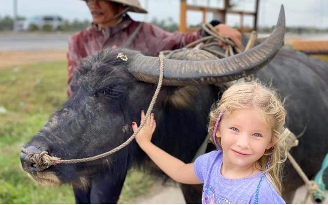 Foreign visitors flock to Hoi An for water buffalo experiences