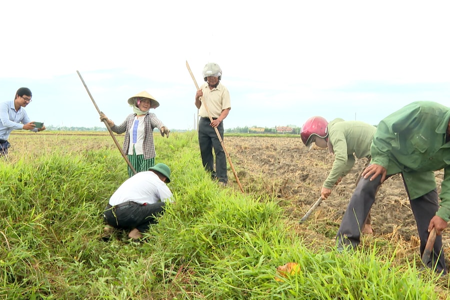 Xã Xuân Phú ra quân diệt chuột, bảo vệ sản xuất vụ Hè Thu 2026