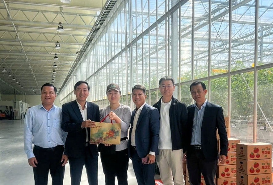 Hiệu quả đưa người lao động đi làm việc ở nước ngoài