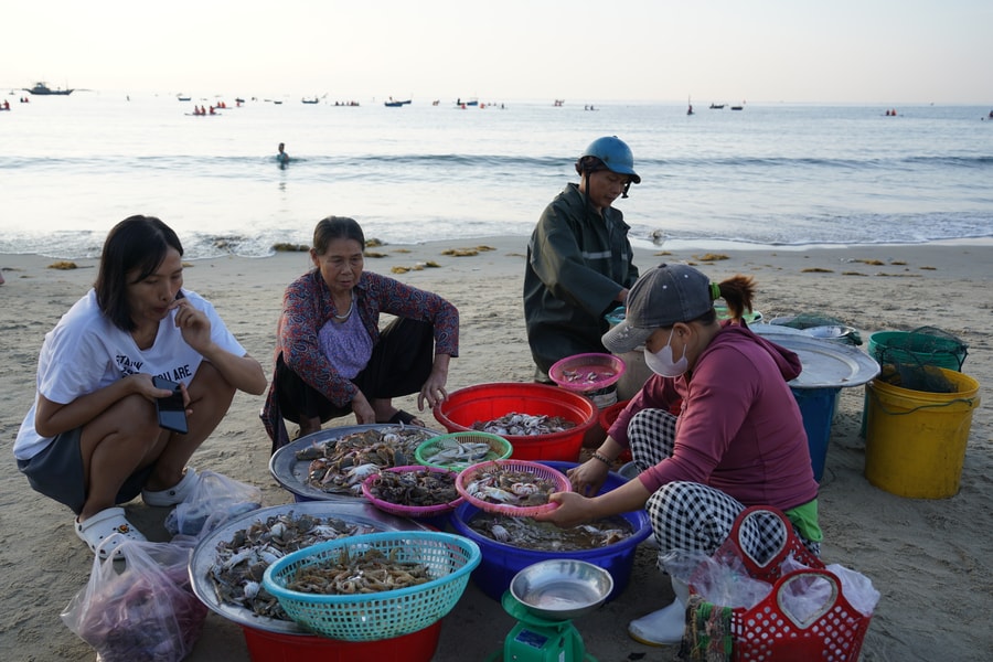 Trải nghiệm hương vị biển