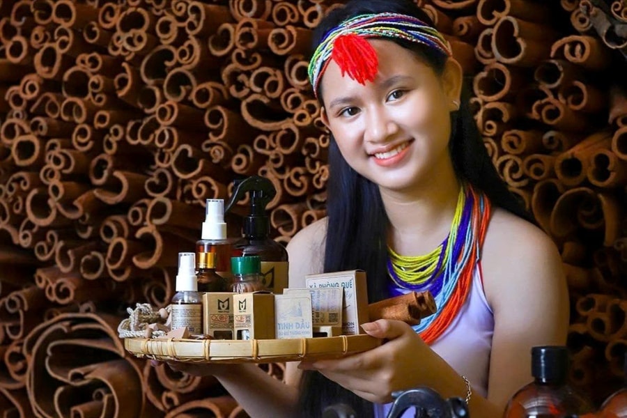 Hương quế gọi về đại ngàn