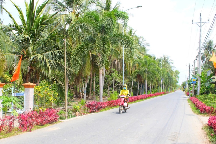 Hoàn thành phương án tổng thể sắp xếp, tổ chức lại thôn, tổ dân phố trước ngày 10/6/2026