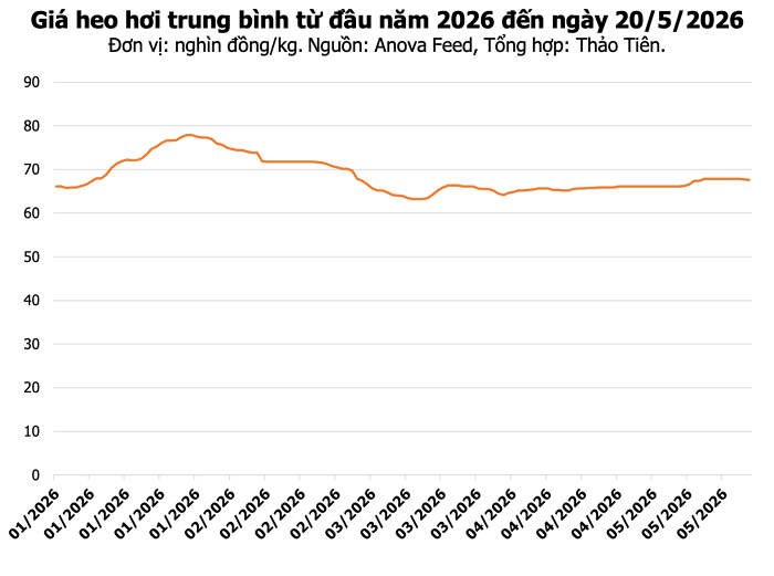 Giá heo hơi hôm nay 20/5: Đồng Nai đạt 70.000 đồng/kg, Hà Nội và TP.HCM giảm nhẹ