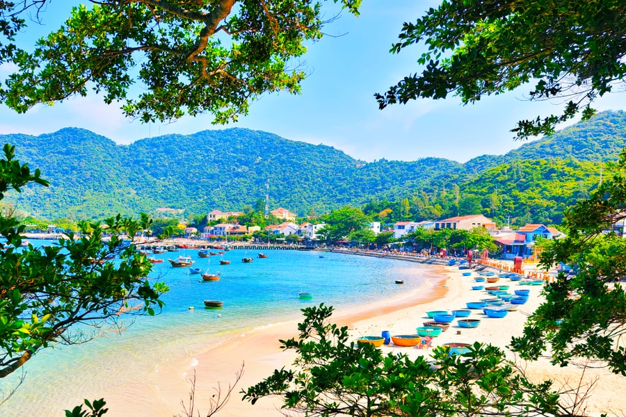 Triển khai các mô hình sinh kế xanh tại Khu bảo tồn thiên nhiên Cù Lao Chàm giai đoạn 2026 - 2030