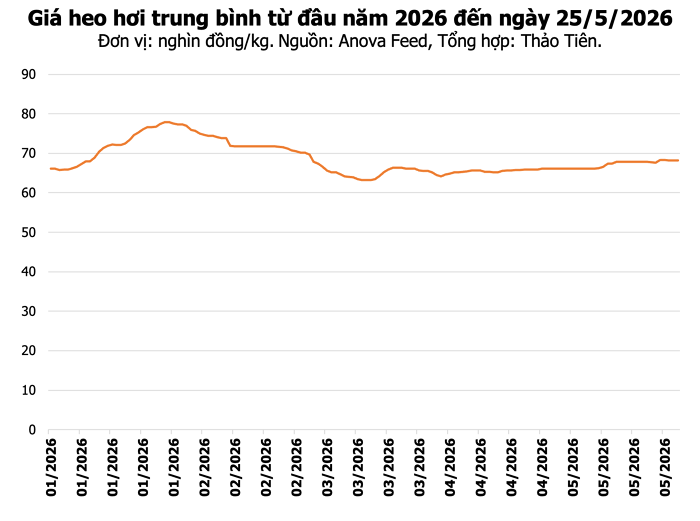 Giá heo hơi hôm nay 25/5: Thị trường đi ngang, cao nhất 70.000 đồng/kg