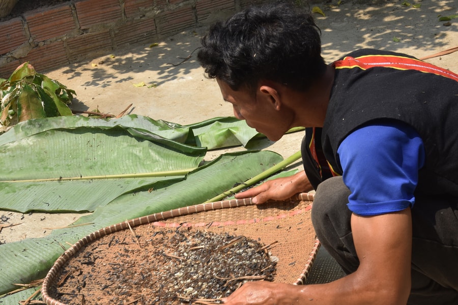 Món ngon dân dã từ kiến