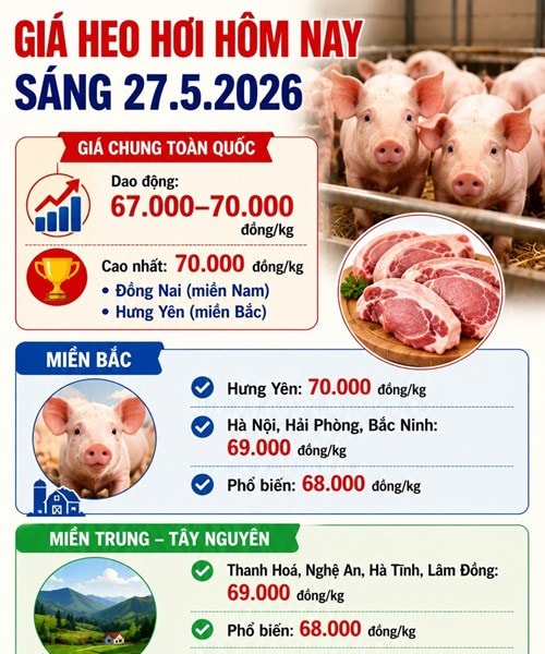Giá heo hơi hôm nay 27/5: Đồng Nai và Hưng Yên giữ mức 70.000 đồng/kg