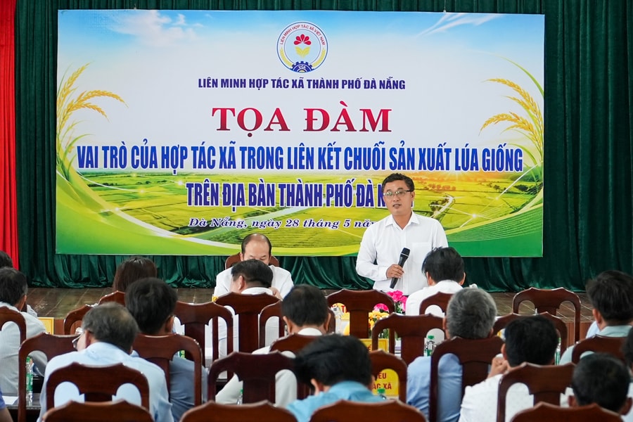 Nâng cao vai trò của hợp tác xã trong liên kết chuỗi sản xuất lúa giống tại Đà Nẵng