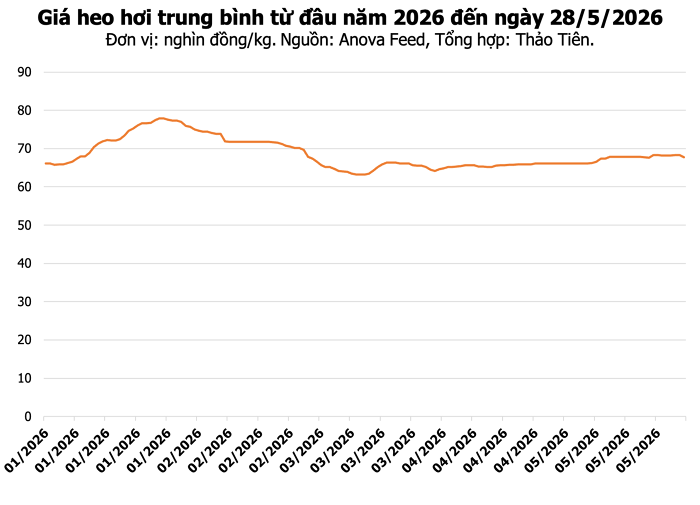 Giá heo hơi hôm nay 28/5: Đồng loạt giảm nhẹ, cao nhất 69.000 đồng/kg
