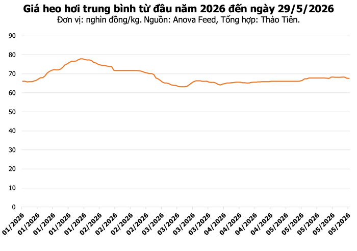 Giá heo hơi hôm nay 29/5: Miền Bắc giảm nhẹ, toàn quốc dao động 67.000 - 68.000 đồng/kg