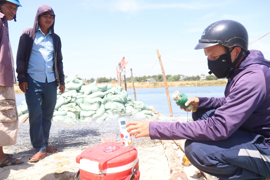 Nỗ lực chống nhiễm mặn để bơm nước đổ ải
