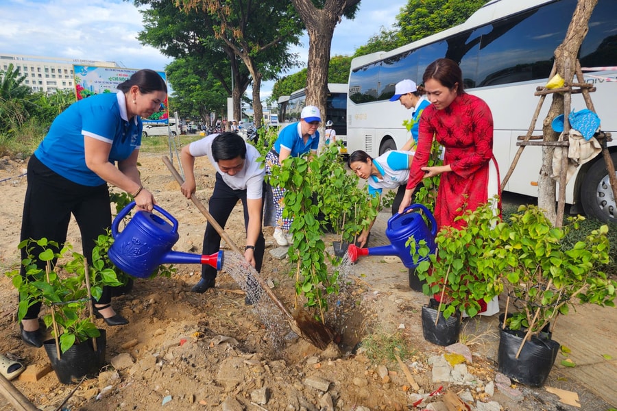 Khoác áo mới cho khu đất trống