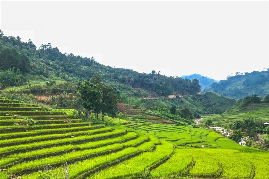 Gian nan đời ruộng bậc thang