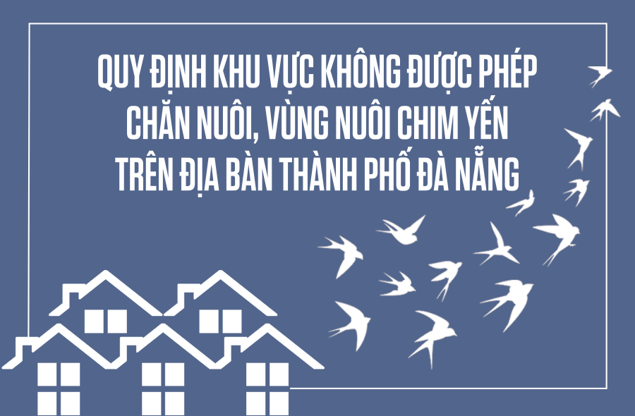 Quy định khu vực không được phép chăn nuôi, vùng nuôi chim yến trên địa bàn thành phố Đà Nẵng