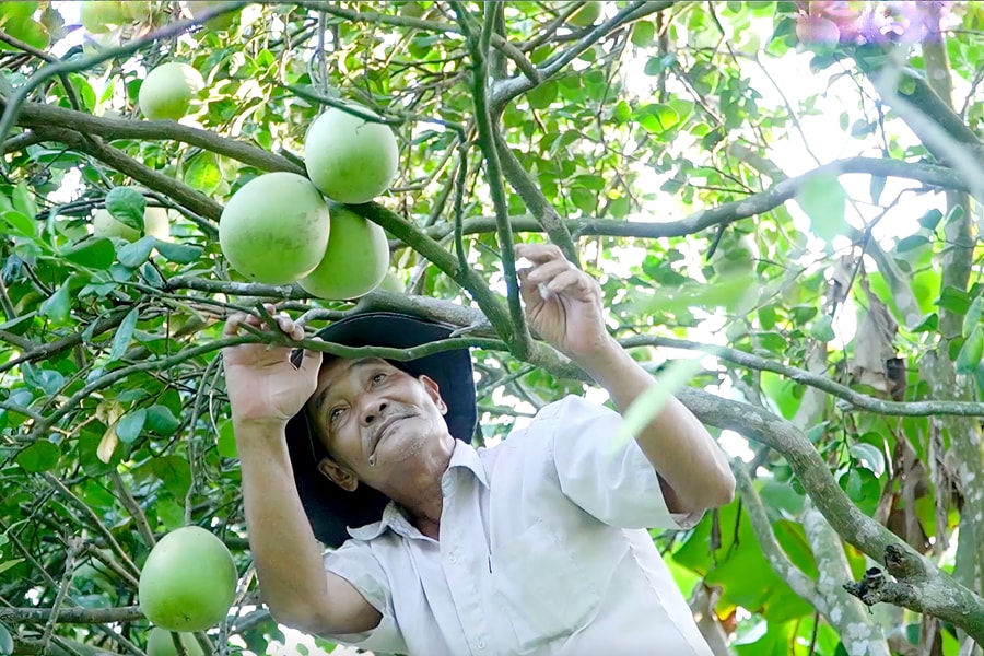 Xây dựng điểm đến hoàn chỉnh