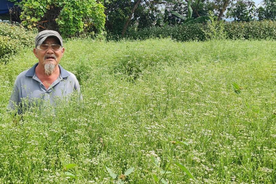 Những người giữ hương tháng Năm