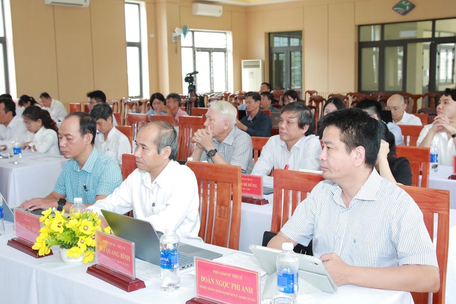 Phường Sơn Trà tìm giải pháp đột phá phát triển kinh tế biển giai đoạn 2026 - 2030