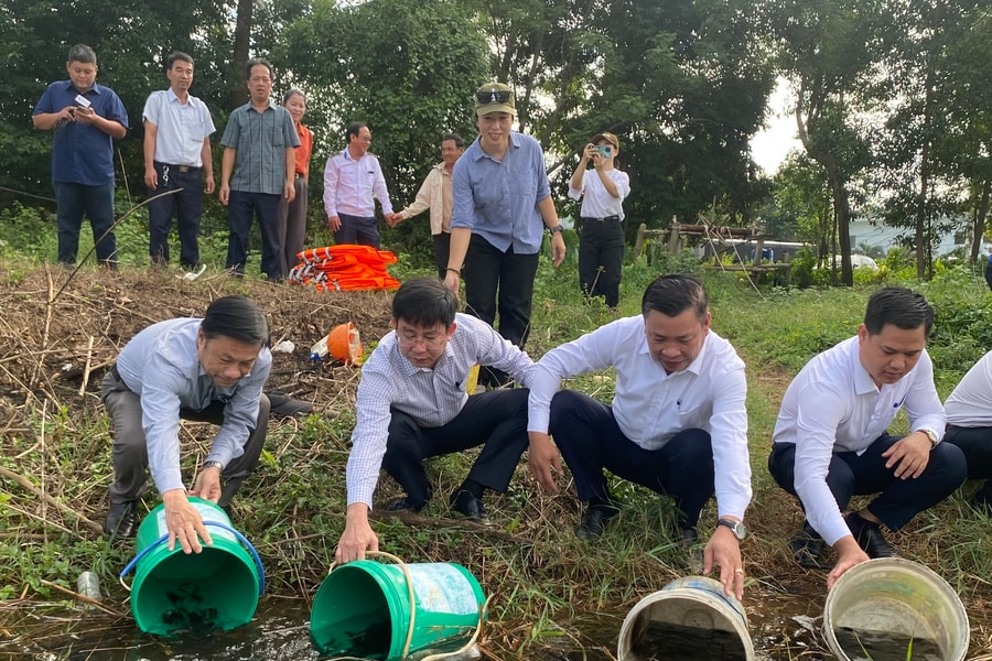 Đà Nẵng: Thả 7.500 con cá giống tái tạo nguồn lợi thủy sản trên sông Cu Đê