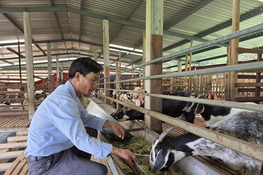 Những “CEO chân đất” giữ đất vùng ven