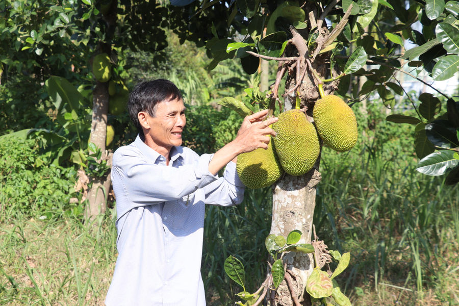 Tạo bệ đỡ cho kinh tế nông nghiệp, nông thôn