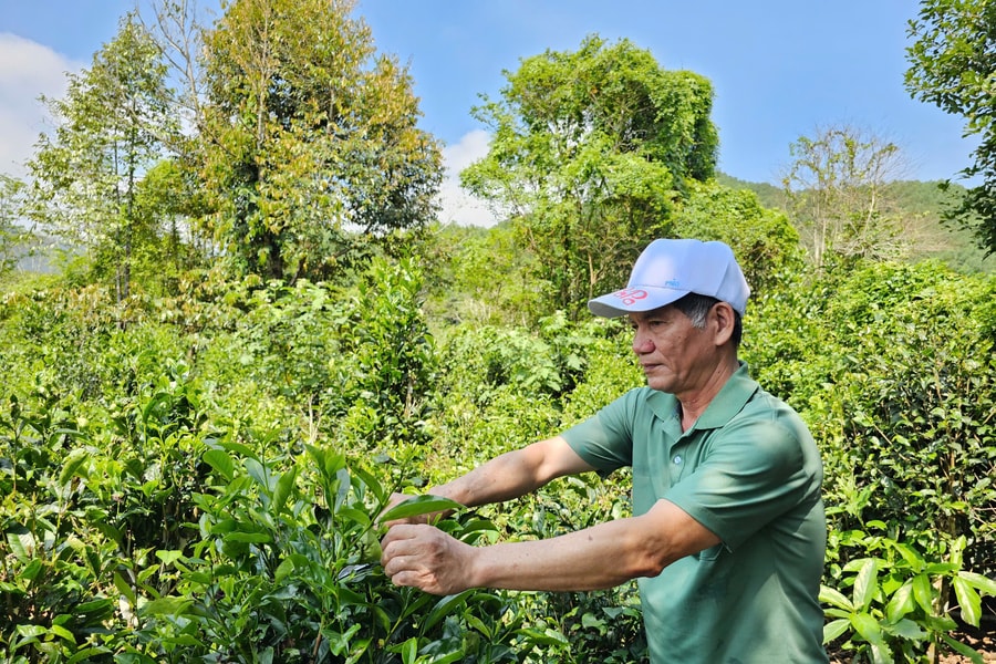 Góp sức xây dựng quê hương