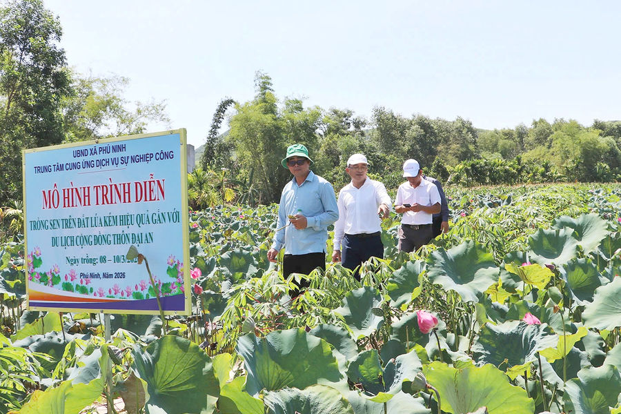 Phát triển du lịch nông thôn vì lợi ích cộng đồng