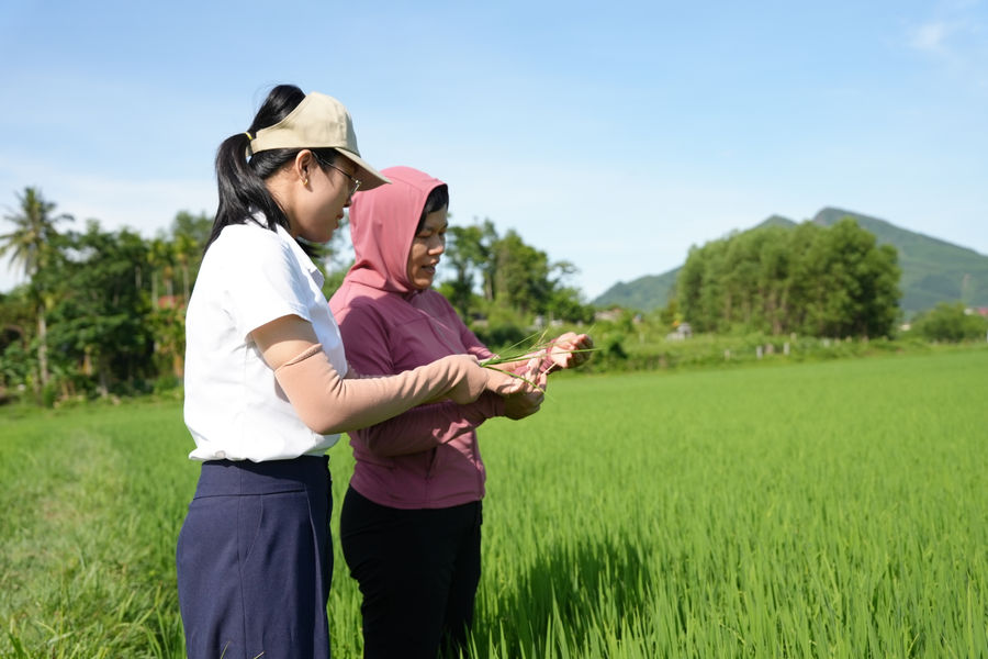 Bám đồng ruộng, chủ động phòng trừ sâu bệnh