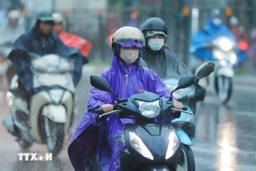 Áp thấp nhiệt đới mạnh lên thành bão, Đông Bắc Bộ và Thanh Hóa có mưa rất to