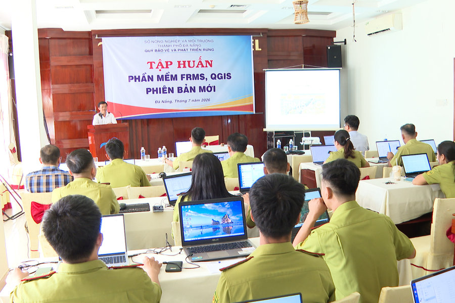 Nâng cao năng lực trong quản lý tài nguyên rừng