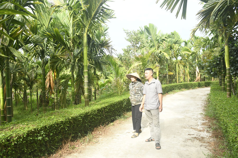 Kinh tế nông nghiệp từ sản xuất xanh