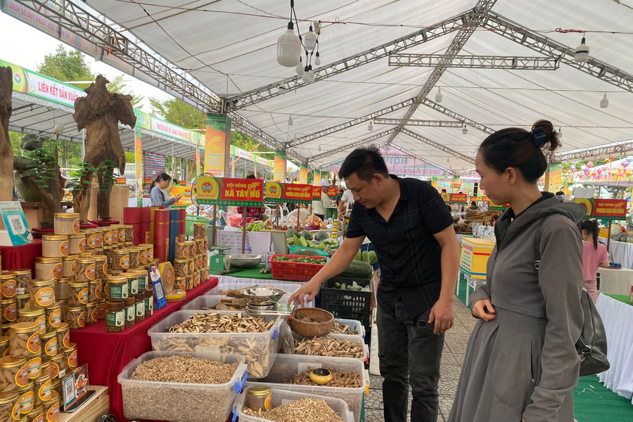 Đưa nông sản Đà Nẵng vươn xa
