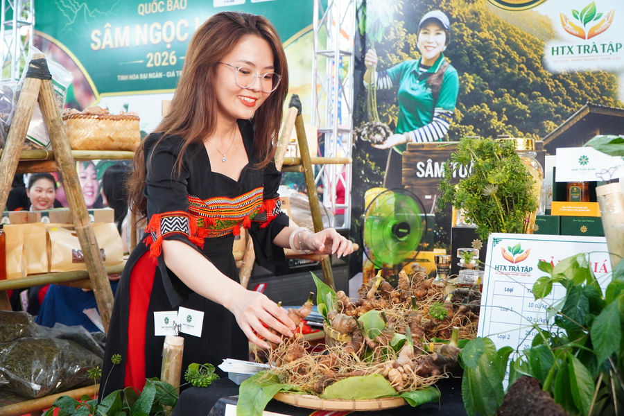 Đưa sản phẩm sâm Ngọc Linh lên sàn giao dịch “OCOP và đặc sản Đà Nẵng”