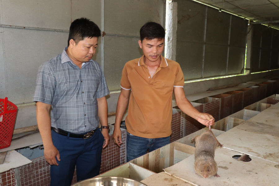 Nông dân Phú Thuận vươn lên làm giàu